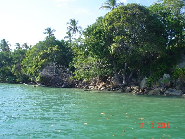 DSC00024