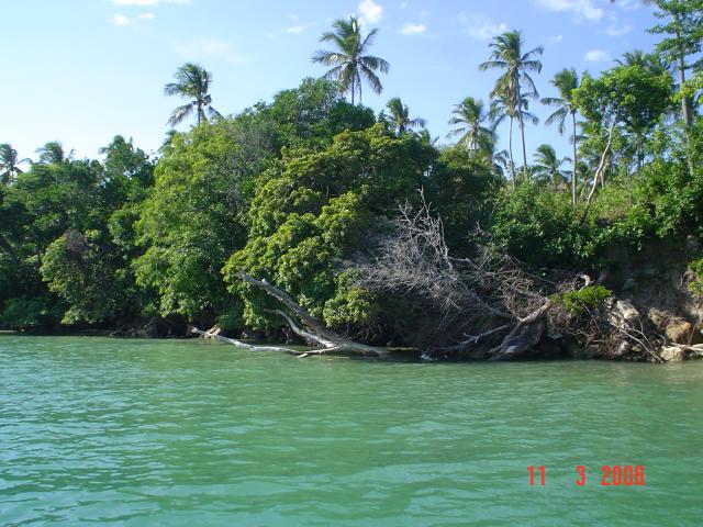 DSC00025