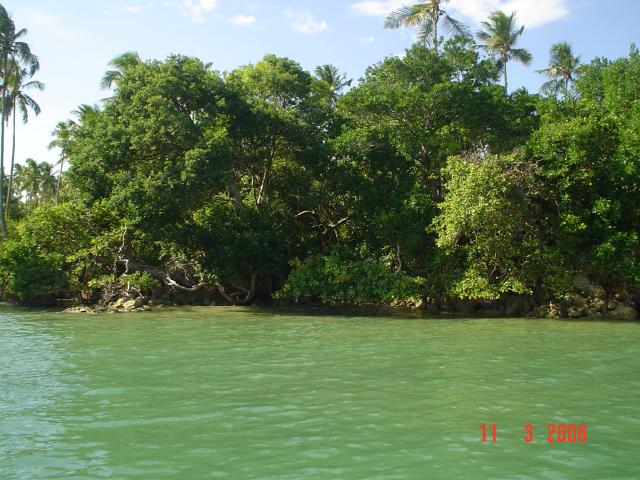 DSC00027