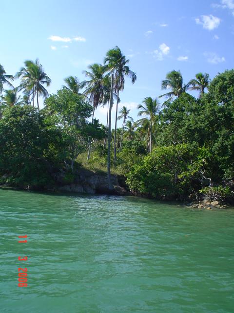 DSC00028