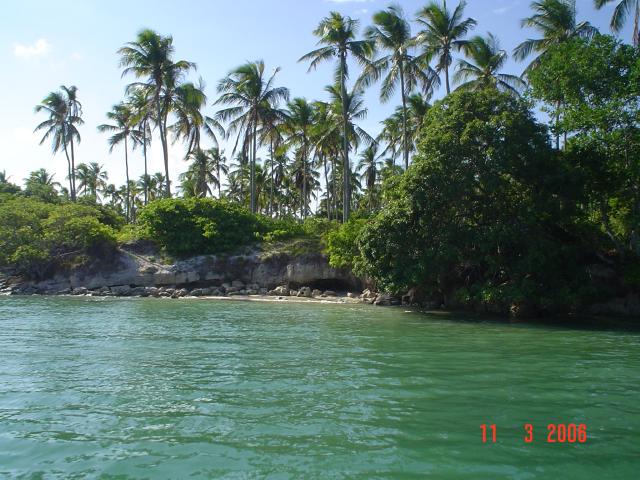 DSC00029
