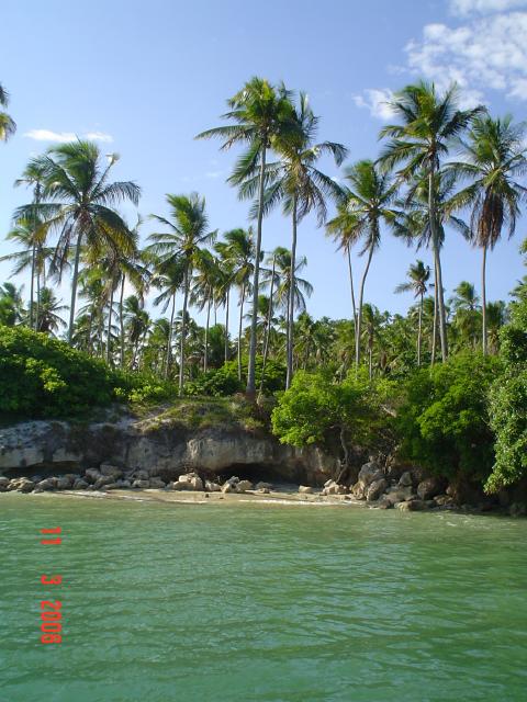 DSC00031
