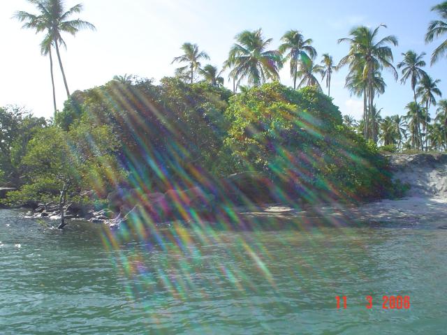 DSC00032