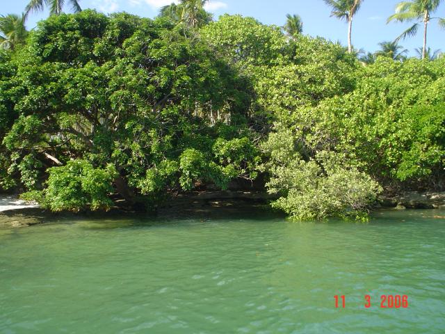 DSC00033
