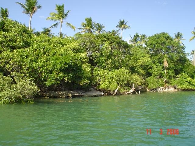 DSC00034
