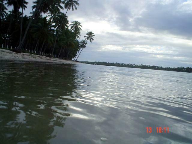 DSC03166