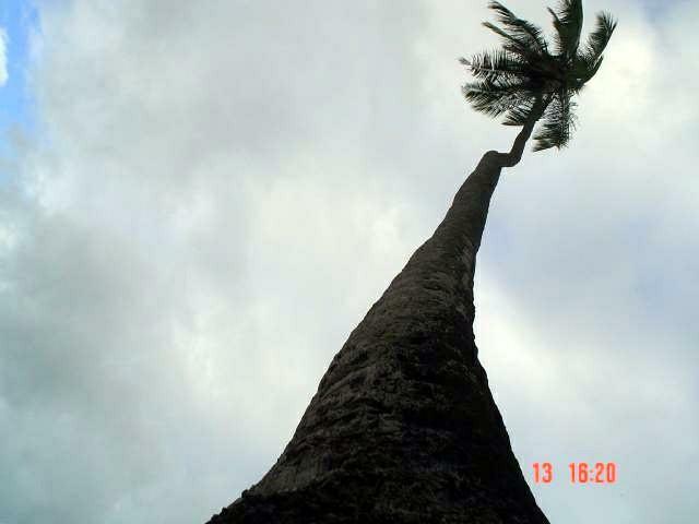 DSC03168