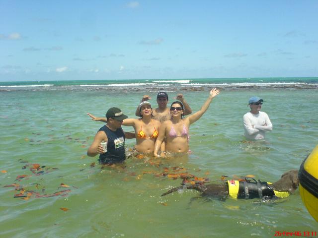DSC00606