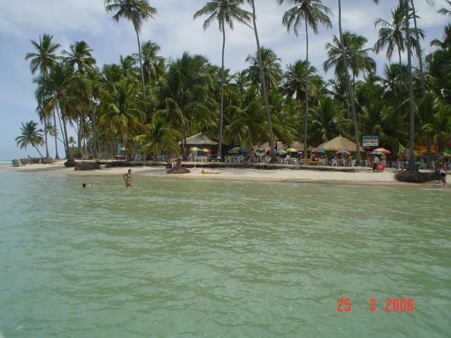 DSC00081