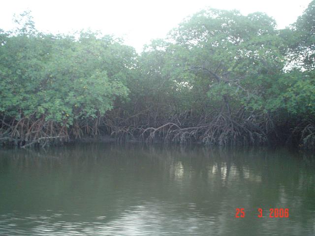 DSC00113