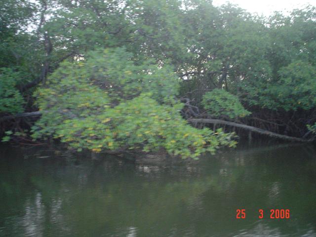 DSC00114