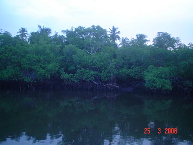 DSC00117