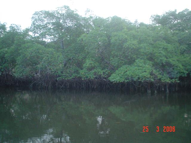 DSC00118