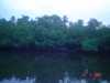 DSC00117