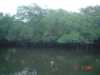 DSC00118
