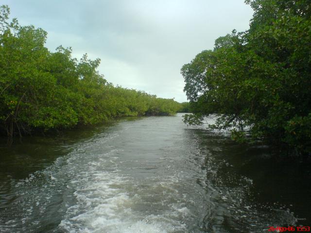 DSC01848