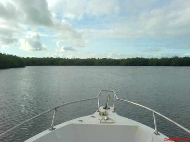 DSC01849