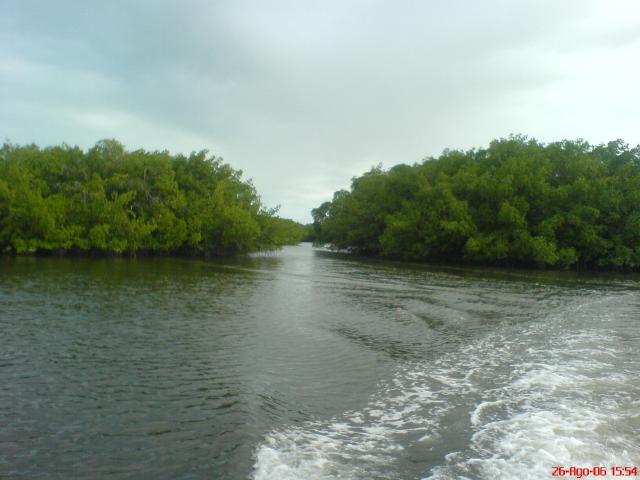 DSC01850