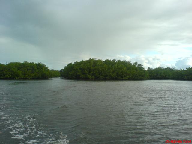 DSC01851