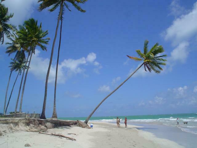 DSC01900