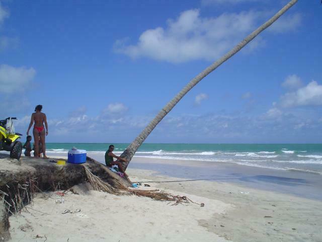 DSC01903