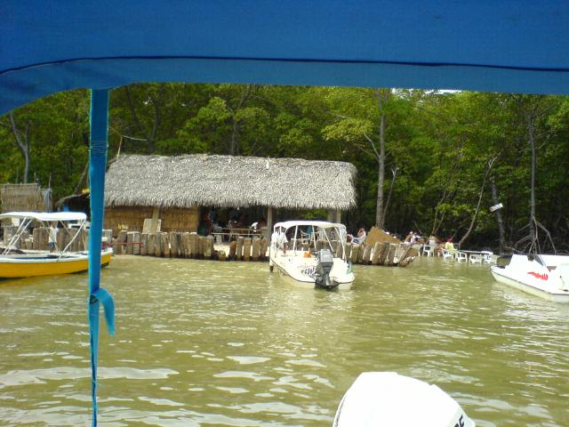 DSC00011