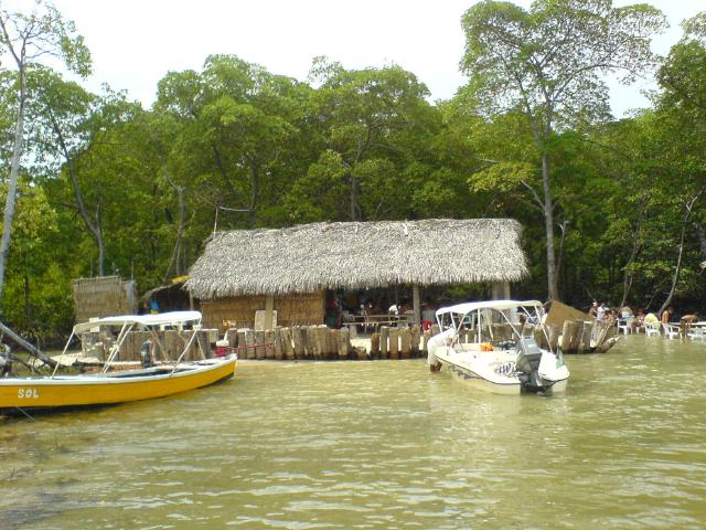 DSC00012