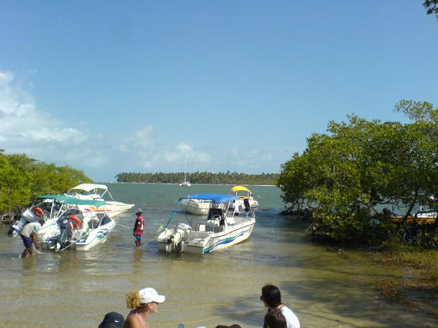 DSC00124