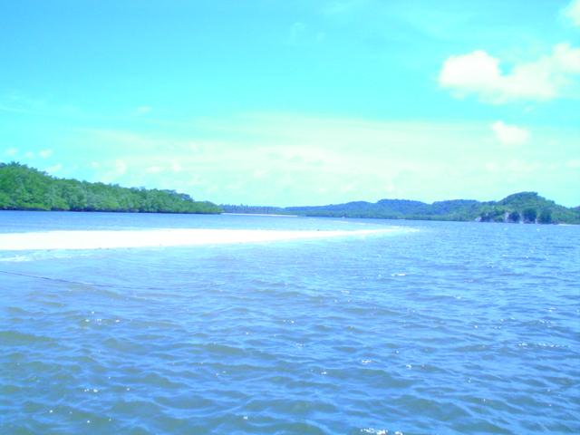 DSC02261