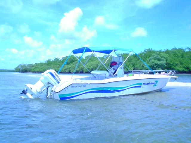 DSC02262
