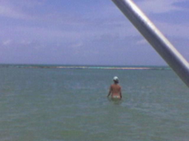 Imagem(894)