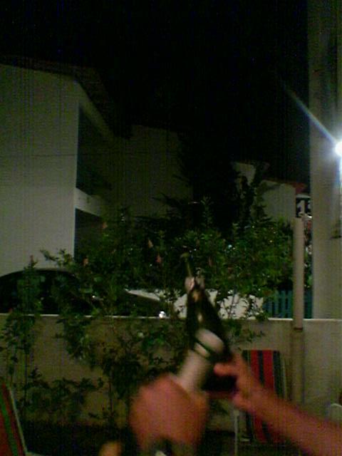 Imagem(897)