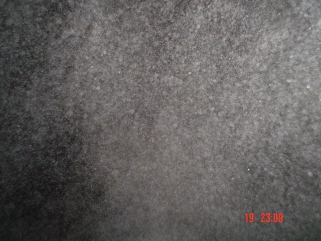 DSC03350