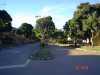 DSC03405