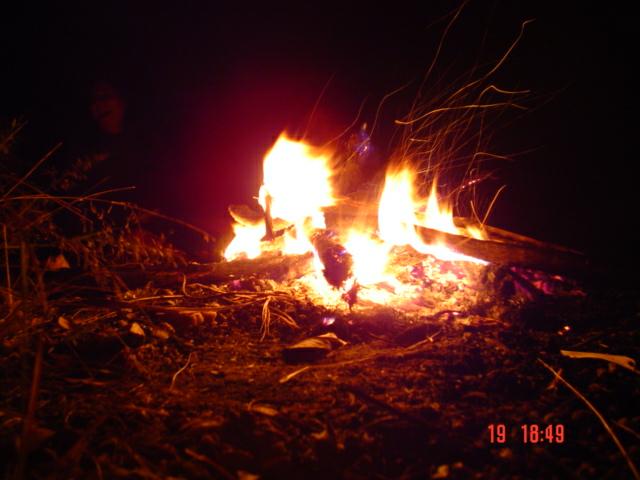 DSC03331