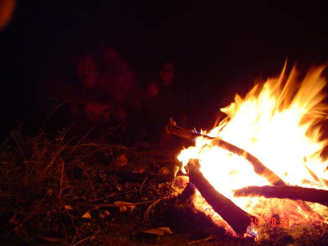 DSC03334