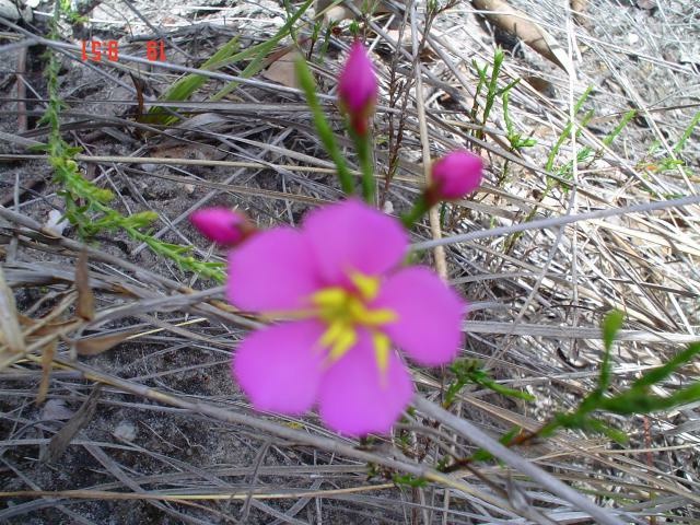 DSC03237