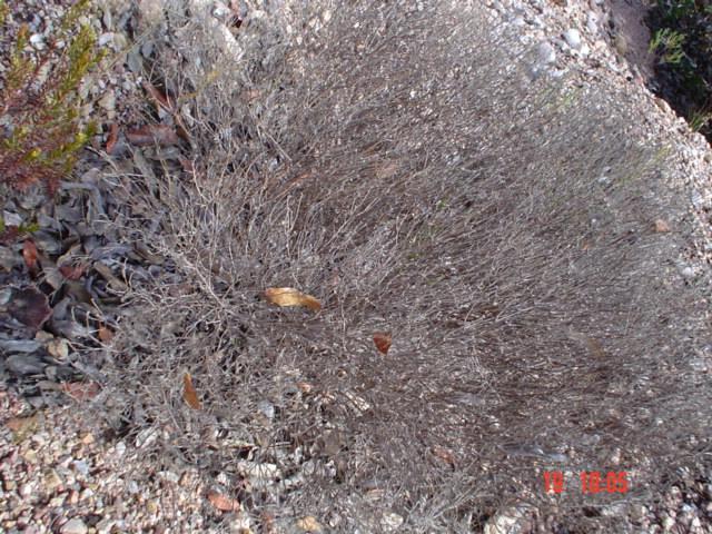 DSC03247