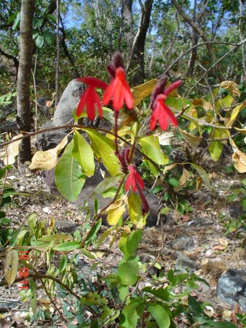 DSC03250