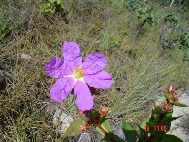 DSC03278