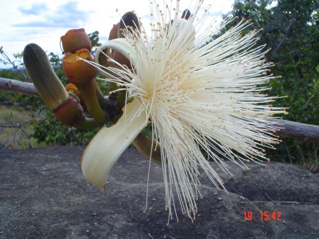 DSC03298