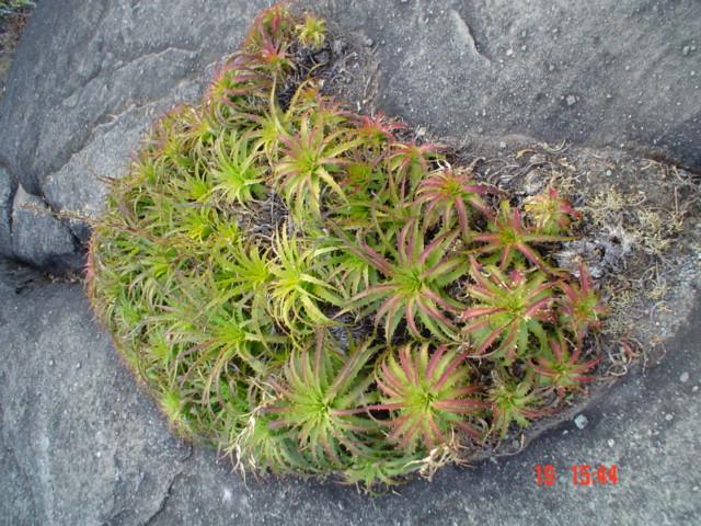 DSC03301