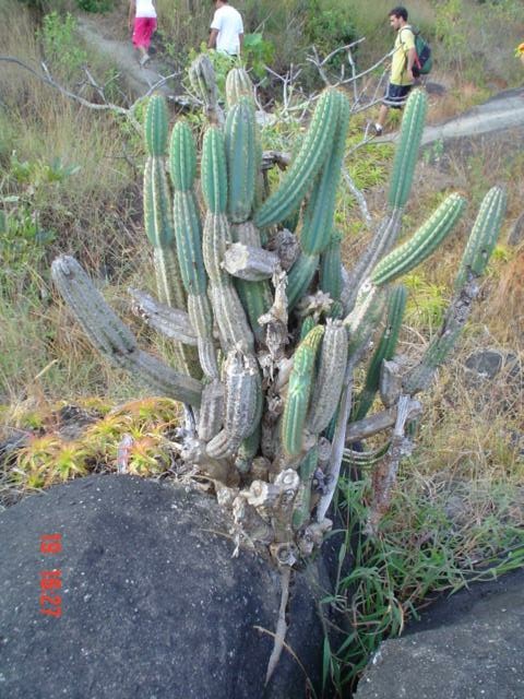 DSC03319