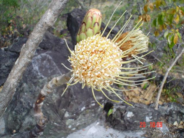 DSC03359