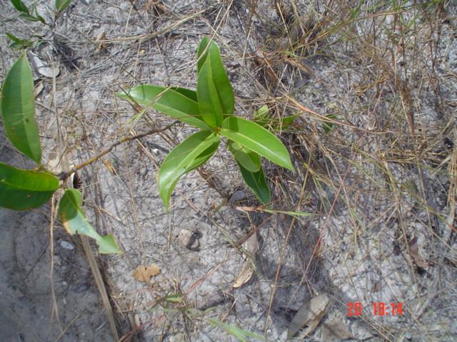 DSC03360