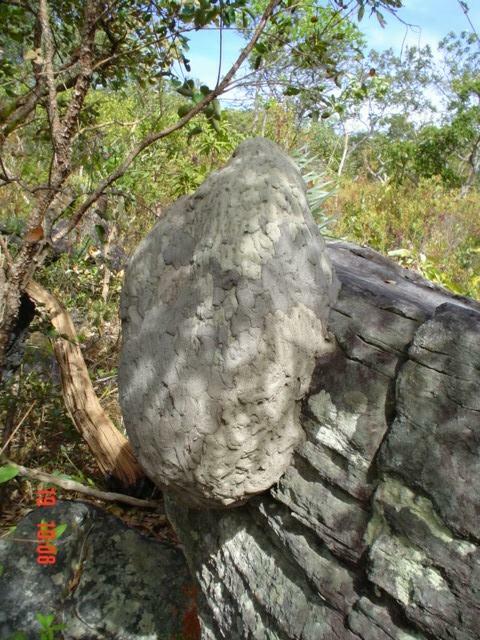 DSC03249