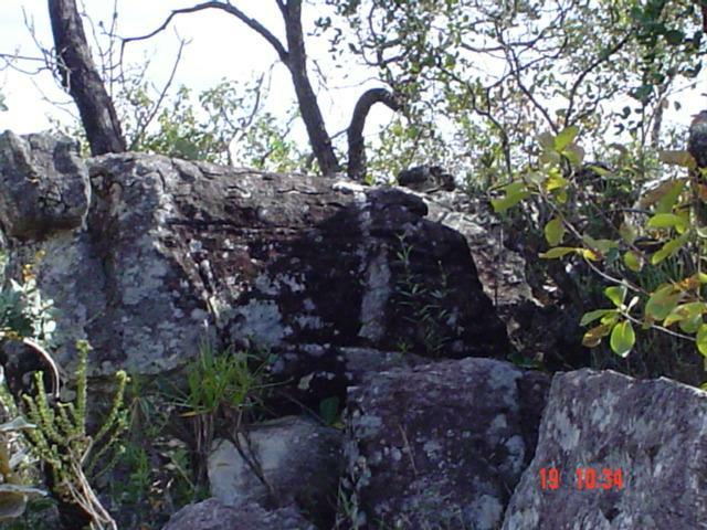 DSC03262