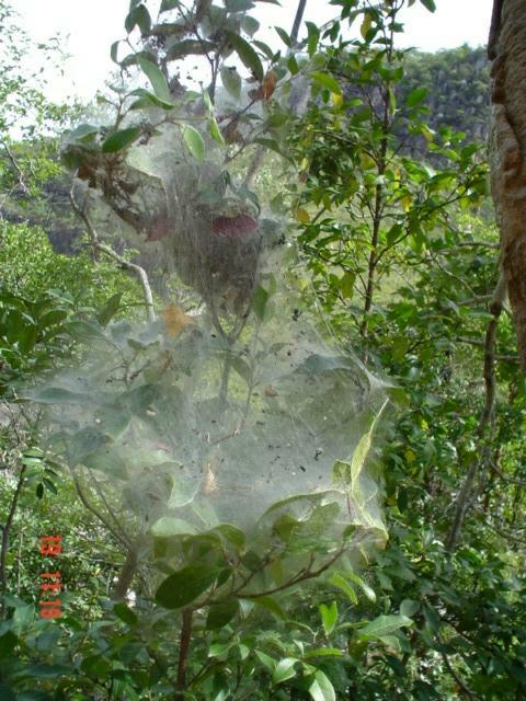 DSC03285