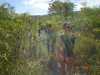 DSC03230