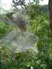 DSC03285